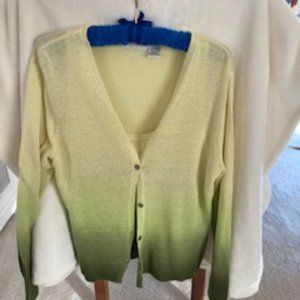 Dana Buchman Sweater Set